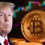 donald trump bitcoin