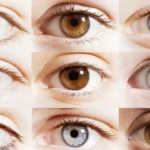 göz rengi