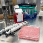 sığır eti pirinç