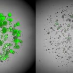 üçlü negatif meme kanseri