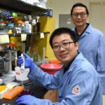 25b2a574 74b6 4a41 b0b1 7f313d16c478