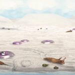 Blackberry Hill'deki gelgit düzlüğü, hayvanları ve izlerini gösteriyor.