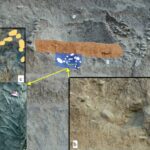 Mezardaki nesnelerin dağılımı ile şamanın keşfi