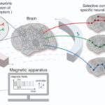 Nano-MIND teknolojisine genel bakış