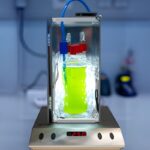 Siyanobakteri bioreaktör