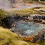 Yellowstone Ulusal Parkı'nın hidrotermal bölgesinde yaşayan küçük organizmalar