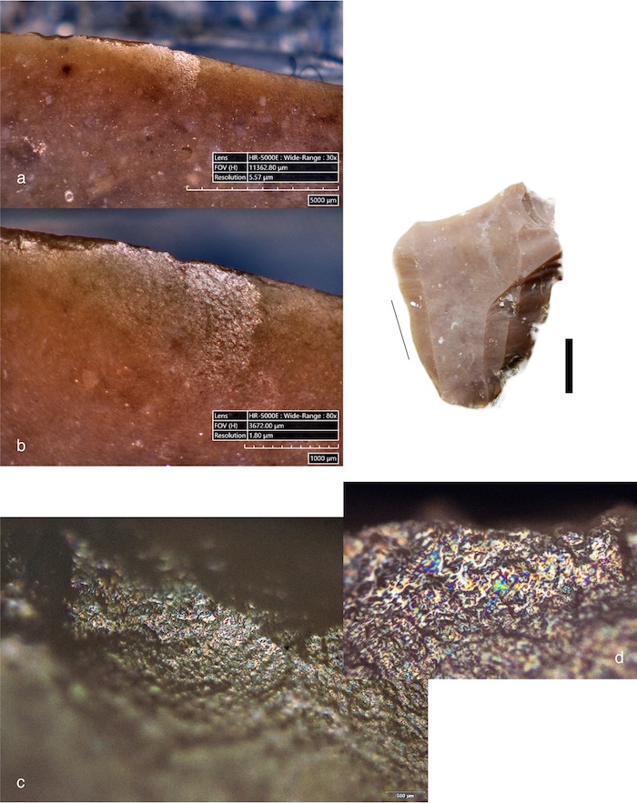 Bir Neandertal Nasıl Yemek Pişirirdi? 3 Bir Neandertal Nasıl Yemek Pişirirdi?