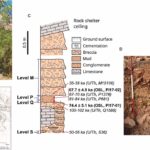 1 s2.0 S0305440324001067 gr2 lrg 1