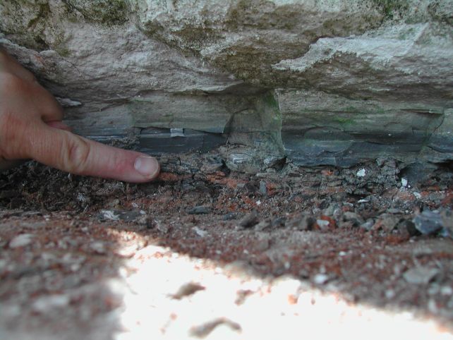 Dinozorları Öldüren Asteroidin Kökenini Biliyoruz 2 Danimarka'daki Kretase-Paleojen sınır katmanı