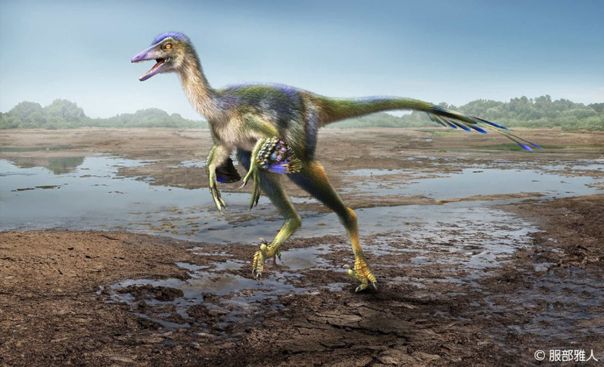 Japonya’da Yeni Bir Troodontid Dinozor Türü Tanımlandı
