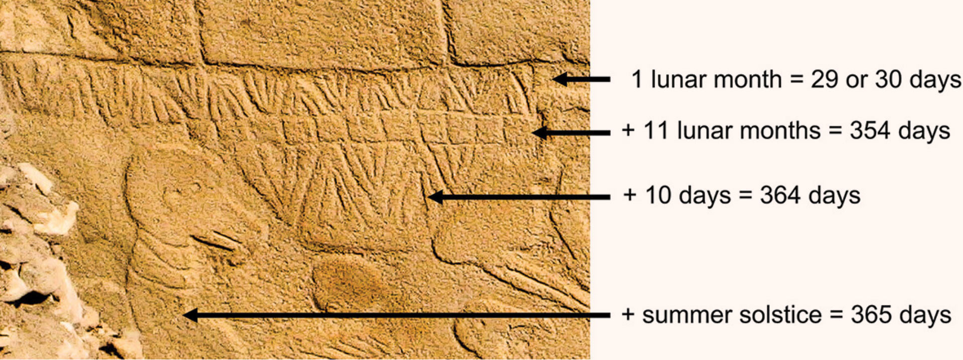 Araştırma: Göbeklitepe'deki Oymalar Dünyanın En Eski Güneş Takvimini Temsil Ediyor 3 Göbekli Tepe'deki 43. Sütunun merkezinden detay