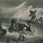 Grönland'da mors avı