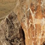 Kırgızistan'ın Ferghana Vadisi'nde bir at petroglif