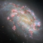 NGC 1559