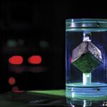 Maryland Üniversitesi'ndeki küp