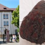 Ünlü kehribar taşı Romanya'daki Buzau İl Müzesi'nde bulunmaktadır