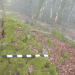 Roma duvarının arkeolojik alanı