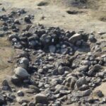 Kiler katinin gorunumu