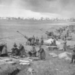 Seelow Tepeleri Muharebesi