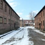 adolf hitler in i la lar tarihsel bir analiz featured image