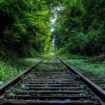 afrikada kolelik tarihin karanlik sayfalari ve gunumuze yans