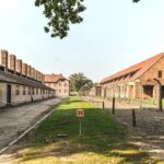 nazi deneyleri tarihin karanl k sayfalar ndaki bilimsel i hlaller featured image