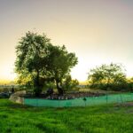 sava sonras bar antla malar ve yeni d nya d zeni k lt rel d n mler ve etkileri kapak