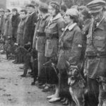 sovyet anti tank köpekleri