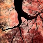 tarihte en nl ayaklanmalar toplumsal de i imin k v lc mlar featured image