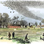 Smith Bennett tarafindan 1875 yilinda resmedilen Kuzey Louisianadaki bir av sahnesi